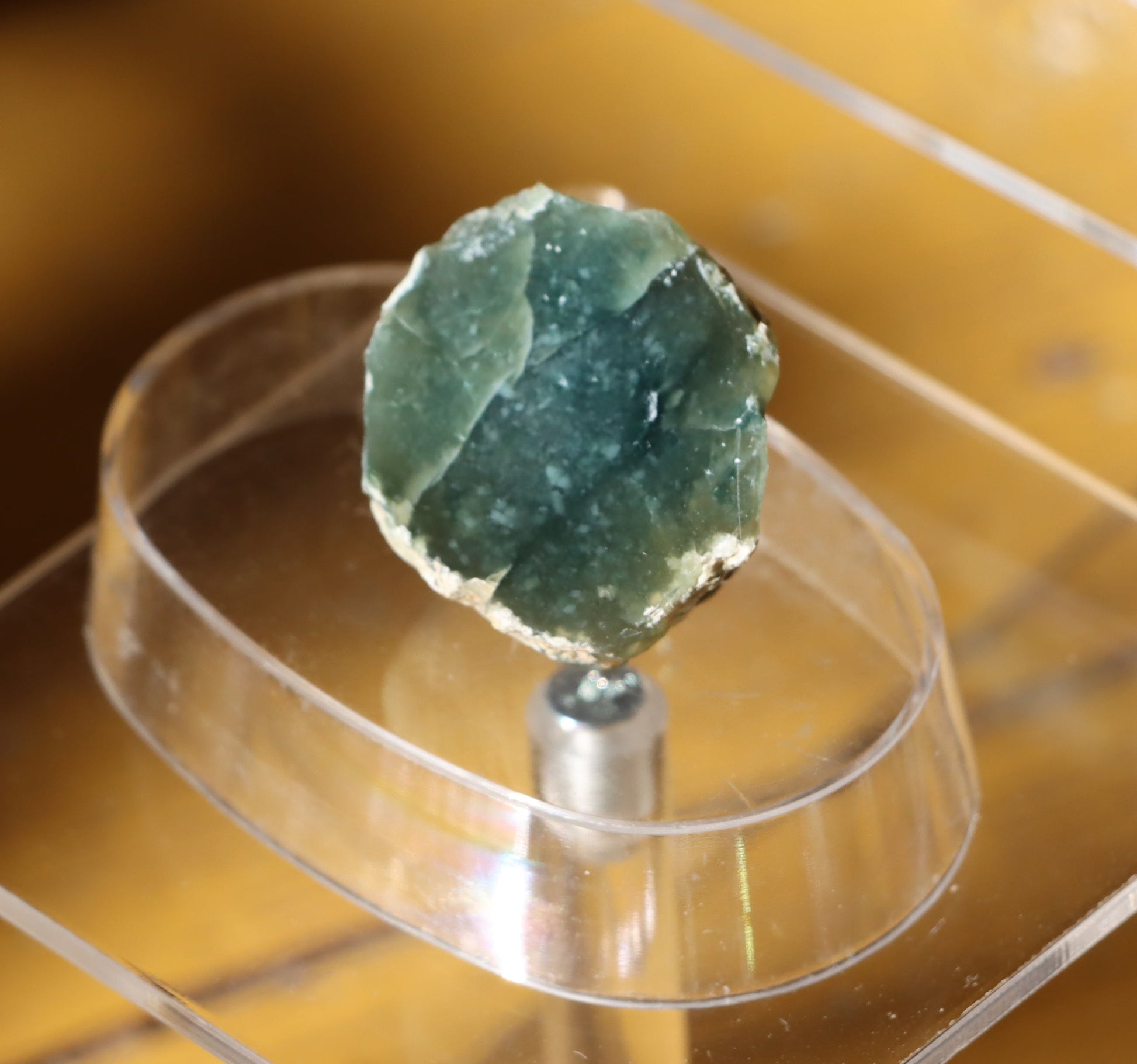 Plazma leštěná "indigo" - Supreme Panthers