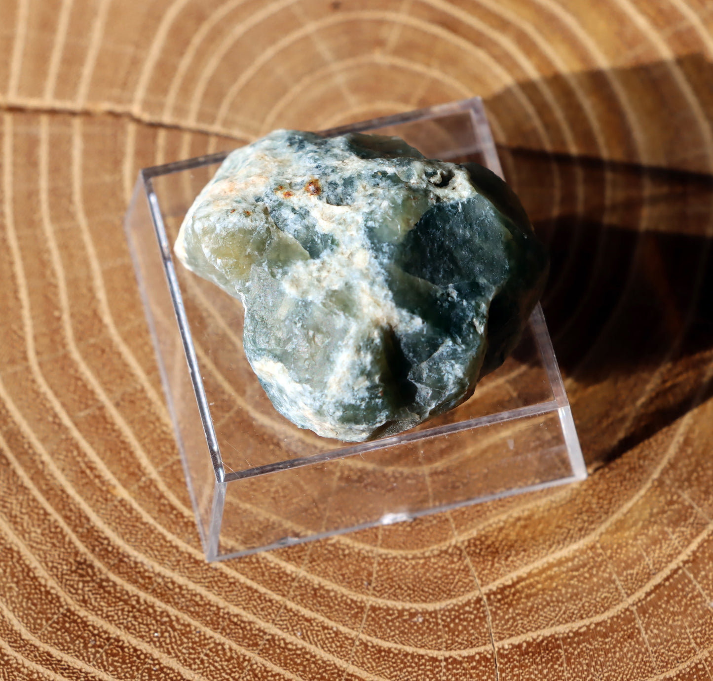 Plazma leštěná "indigo" - Supreme Panthers