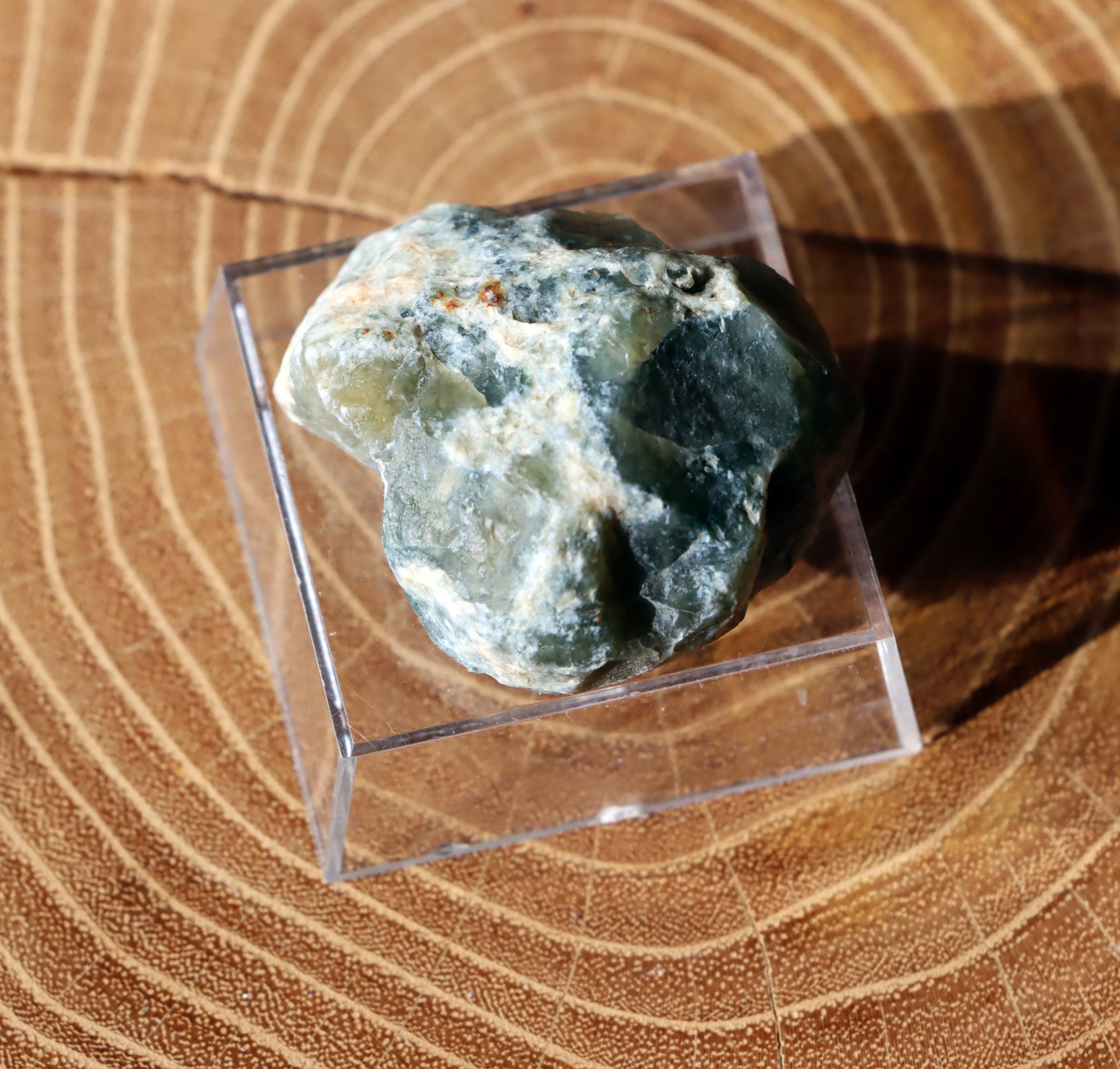 Plazma leštěná "indigo" - Supreme Panthers