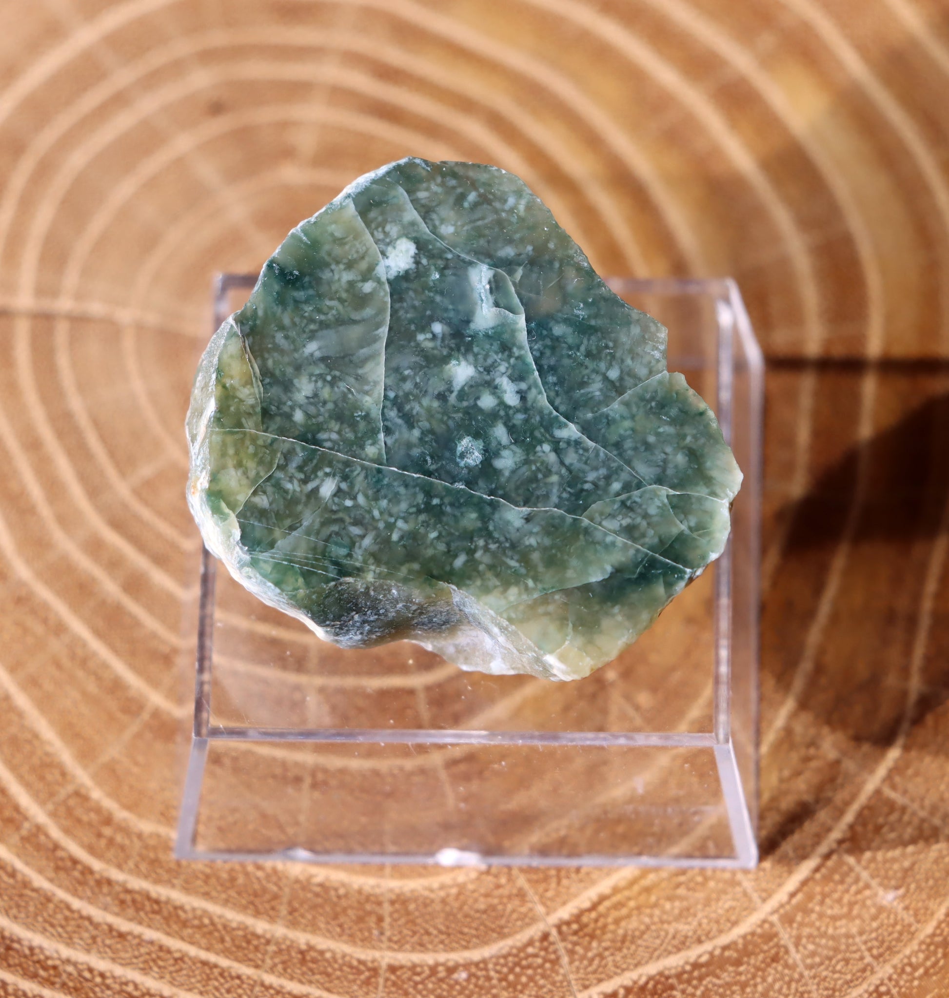 Plazma leštěná "indigo" - Supreme Panthers