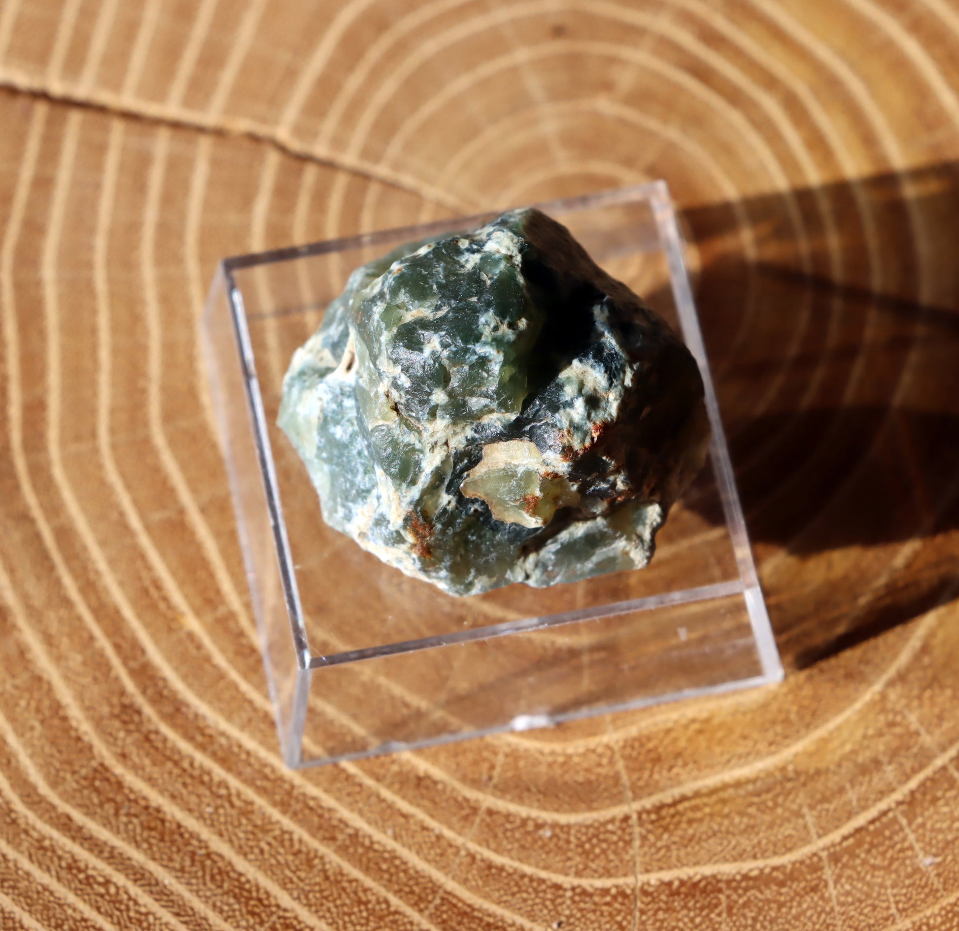 Plazma leštěná "indigo" - Supreme Panthers