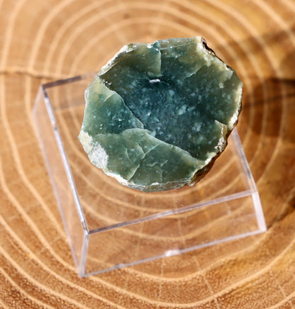 Plazma leštěná "indigo" - Supreme Panthers