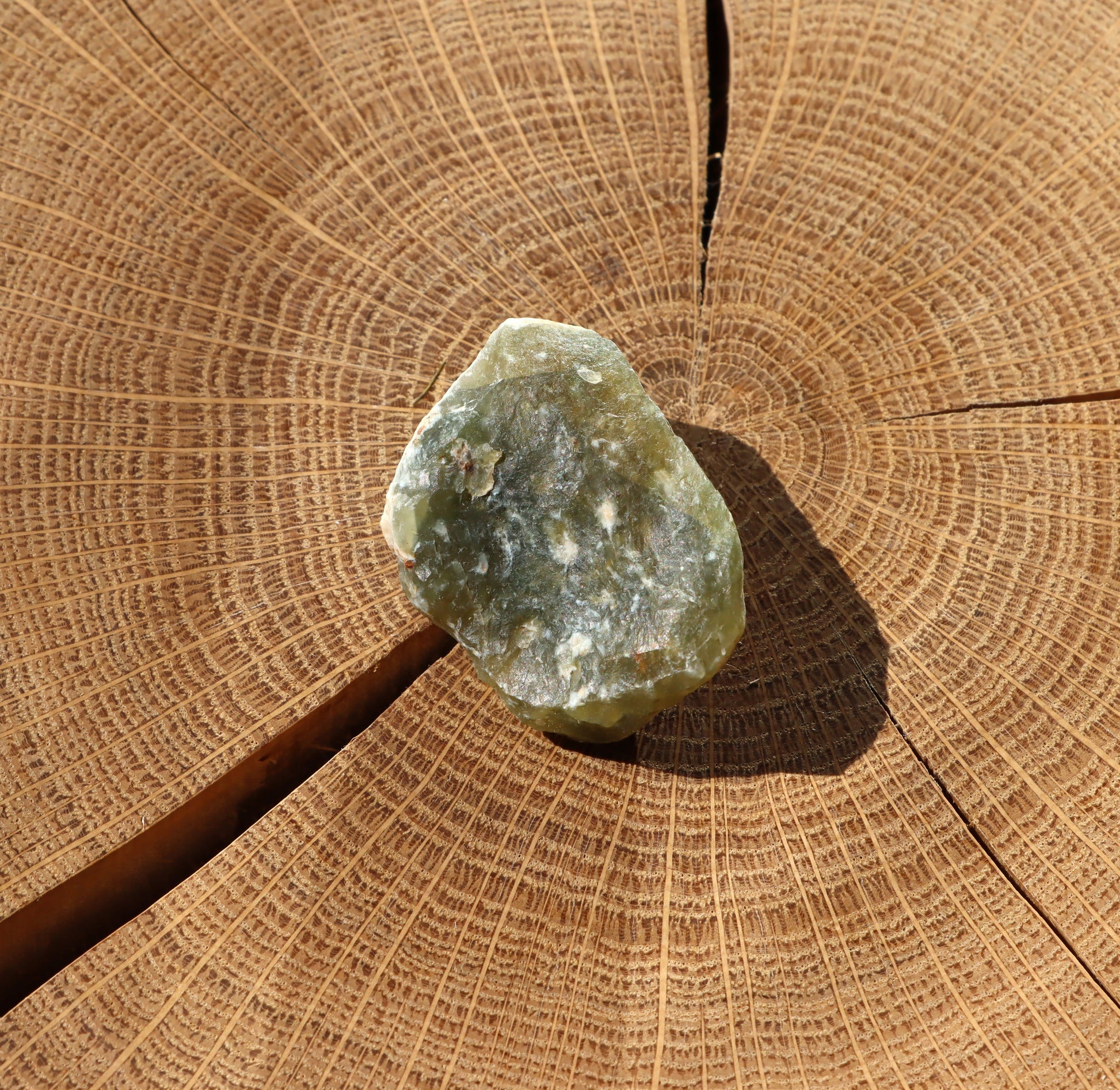 Plazma pazourek "kiwi" - Supreme Panthers