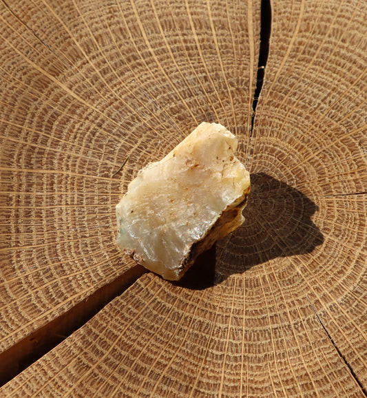 Plazma pazourek "meruňka" - Supreme Panthers