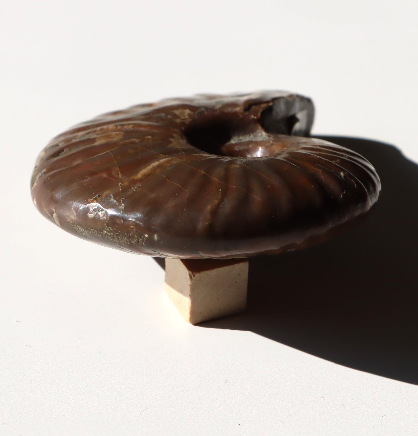 Podpůrná kostka malá dřevěná - Supreme Panthers