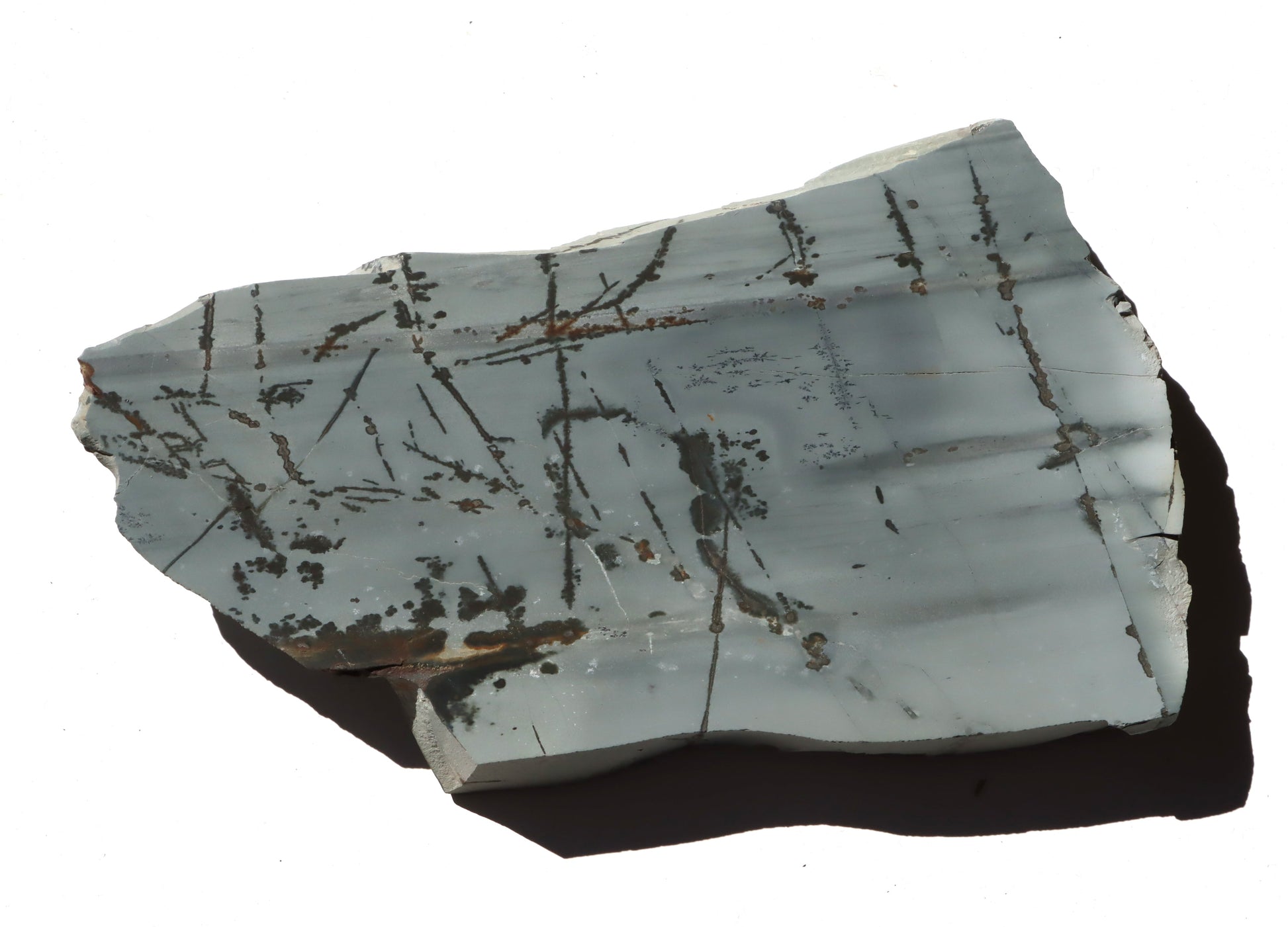 Porcelanit s pyritem a dendrity - Supreme Panthers