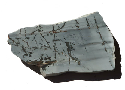 Porcelanit s pyritem a dendrity - Supreme Panthers