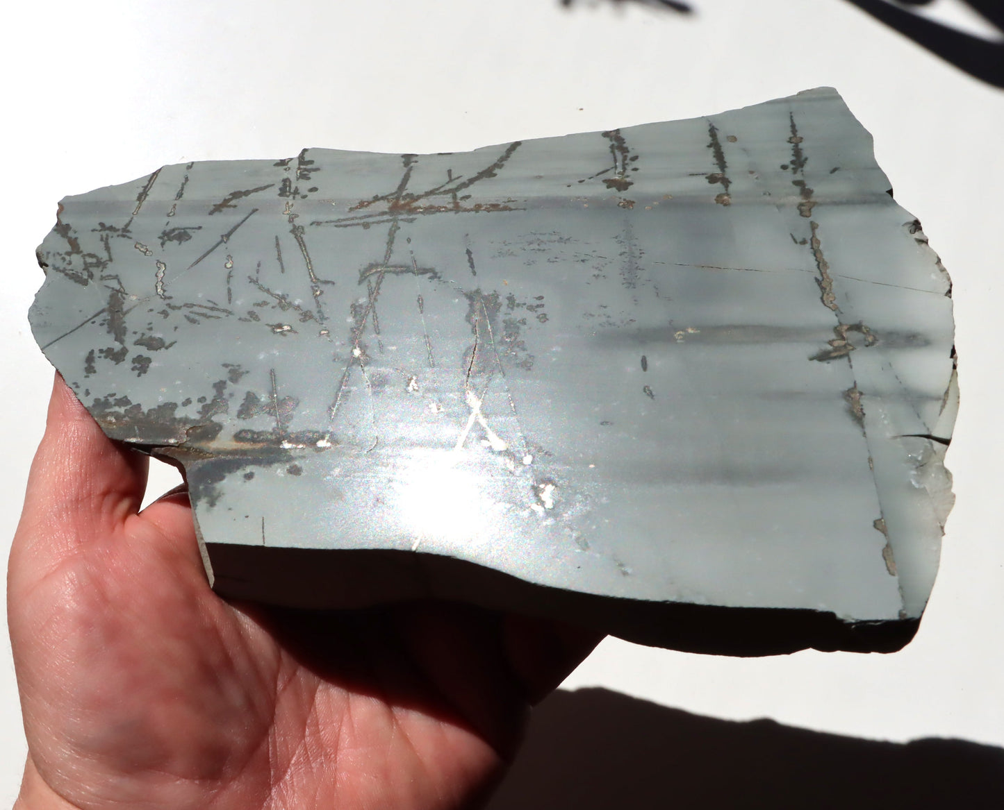 Porcelanit s pyritem a dendrity - Supreme Panthers