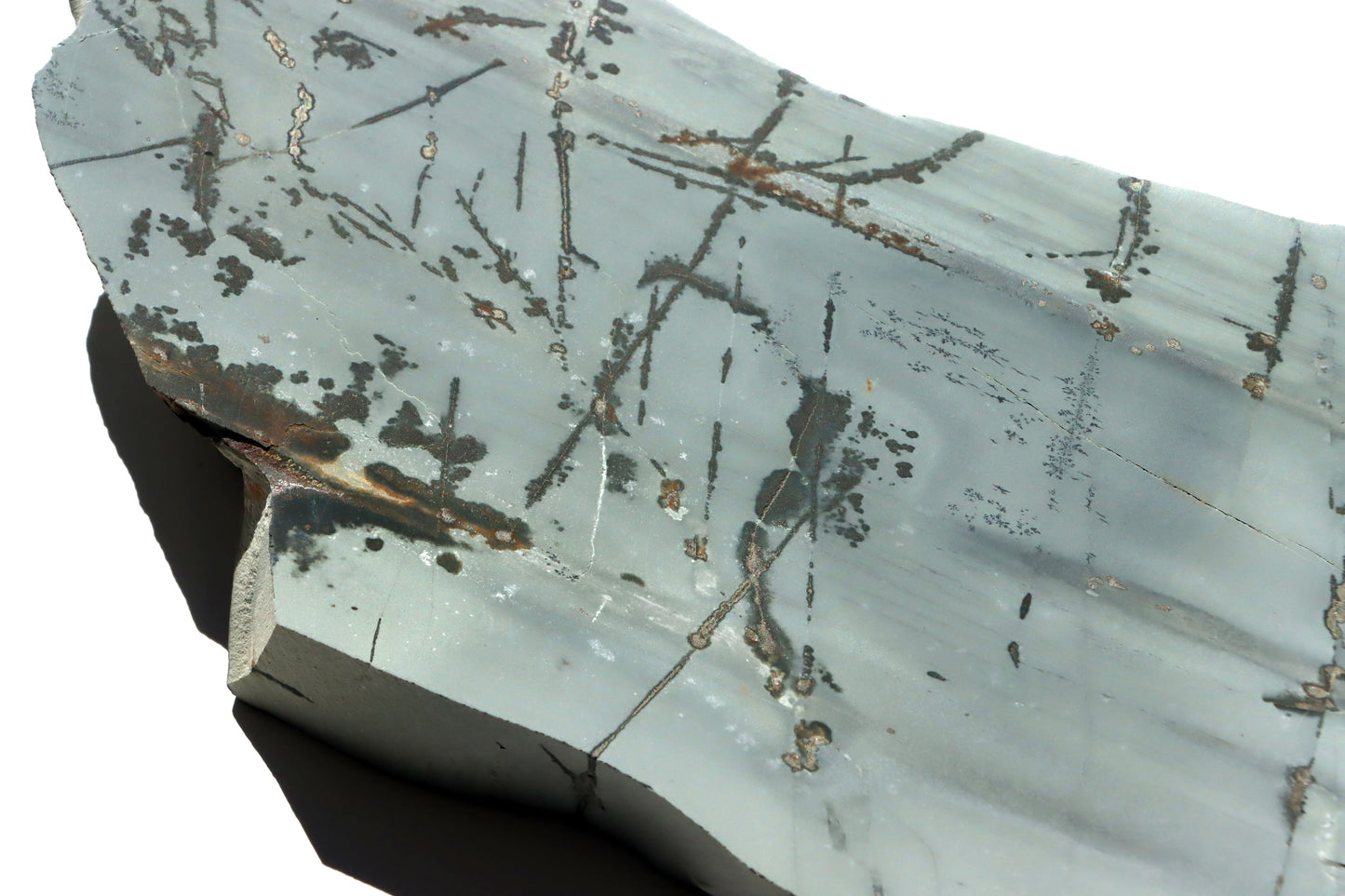 Porcelanit s pyritem a dendrity - Supreme Panthers