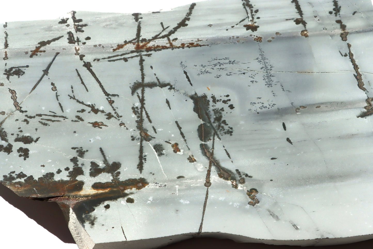 Porcelanit s pyritem a dendrity - Supreme Panthers