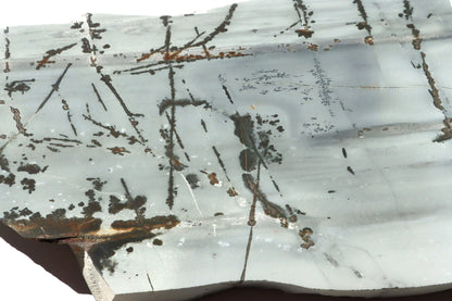 Porcelanit s pyritem a dendrity - Supreme Panthers