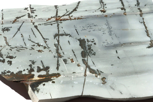 Porcelanit s pyritem a dendrity - Supreme Panthers