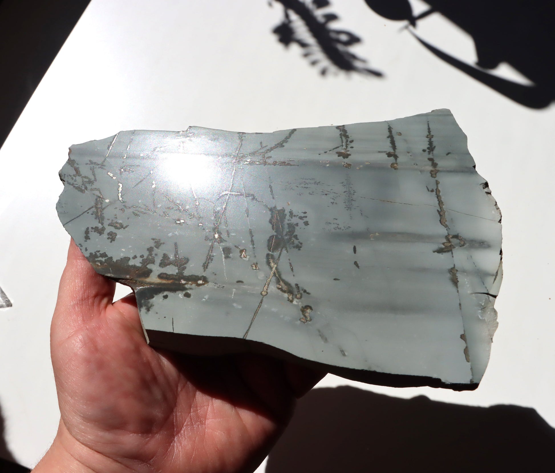 Porcelanit s pyritem a dendrity - Supreme Panthers