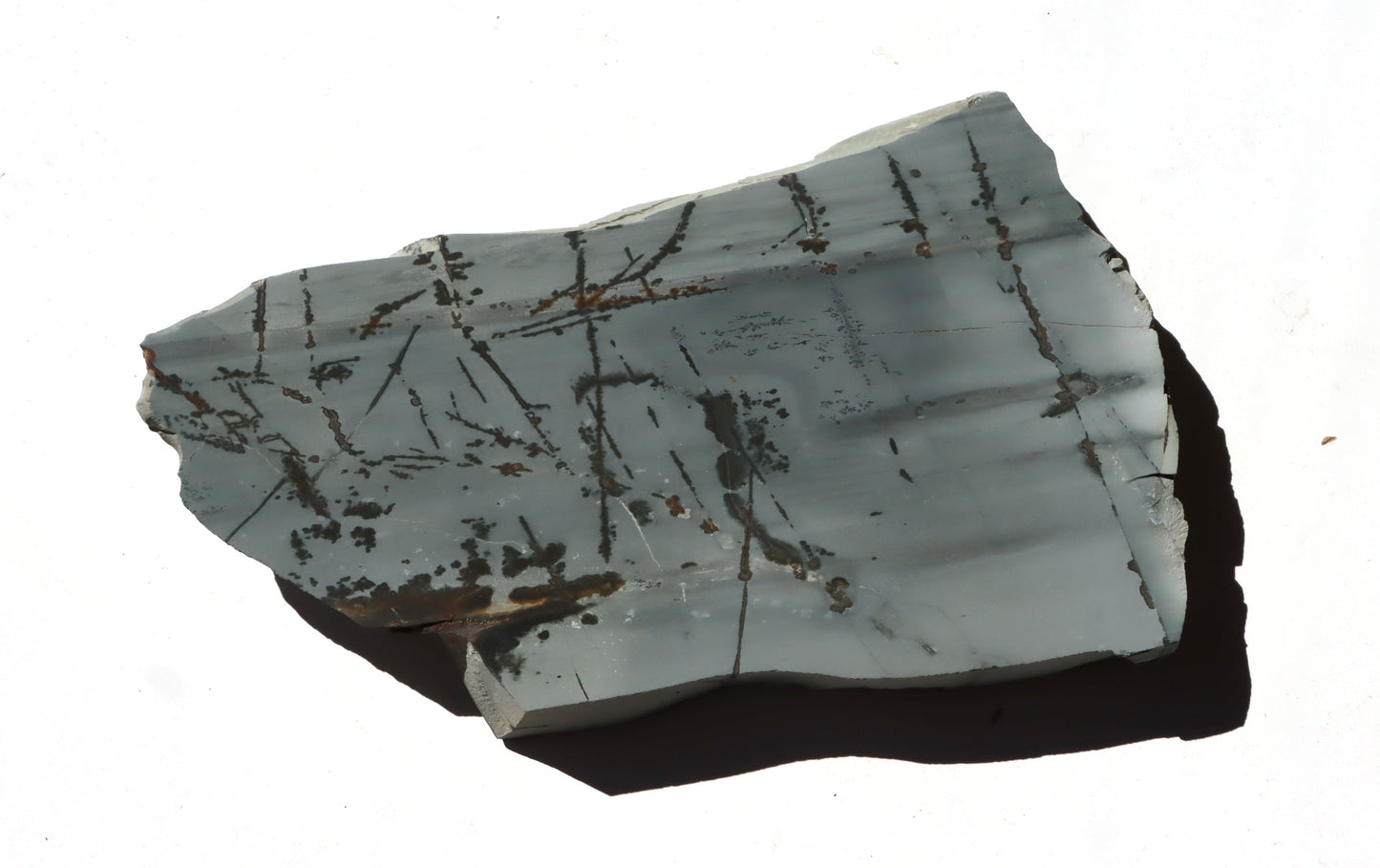 Porcelanit s pyritem a dendrity - Supreme Panthers