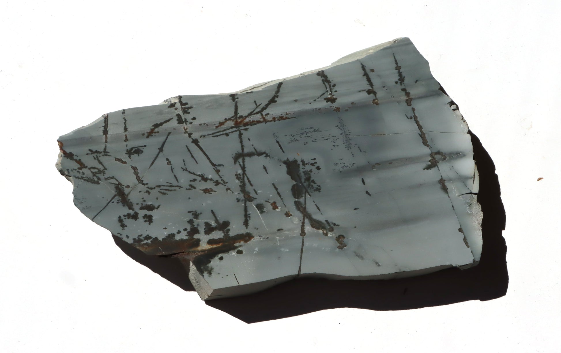 Porcelanit s pyritem a dendrity - Supreme Panthers