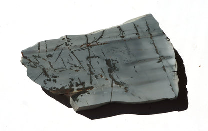 Porcelanit s pyritem a dendrity - Supreme Panthers