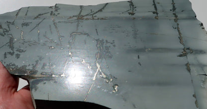 Porcelanit s pyritem a dendrity - Supreme Panthers