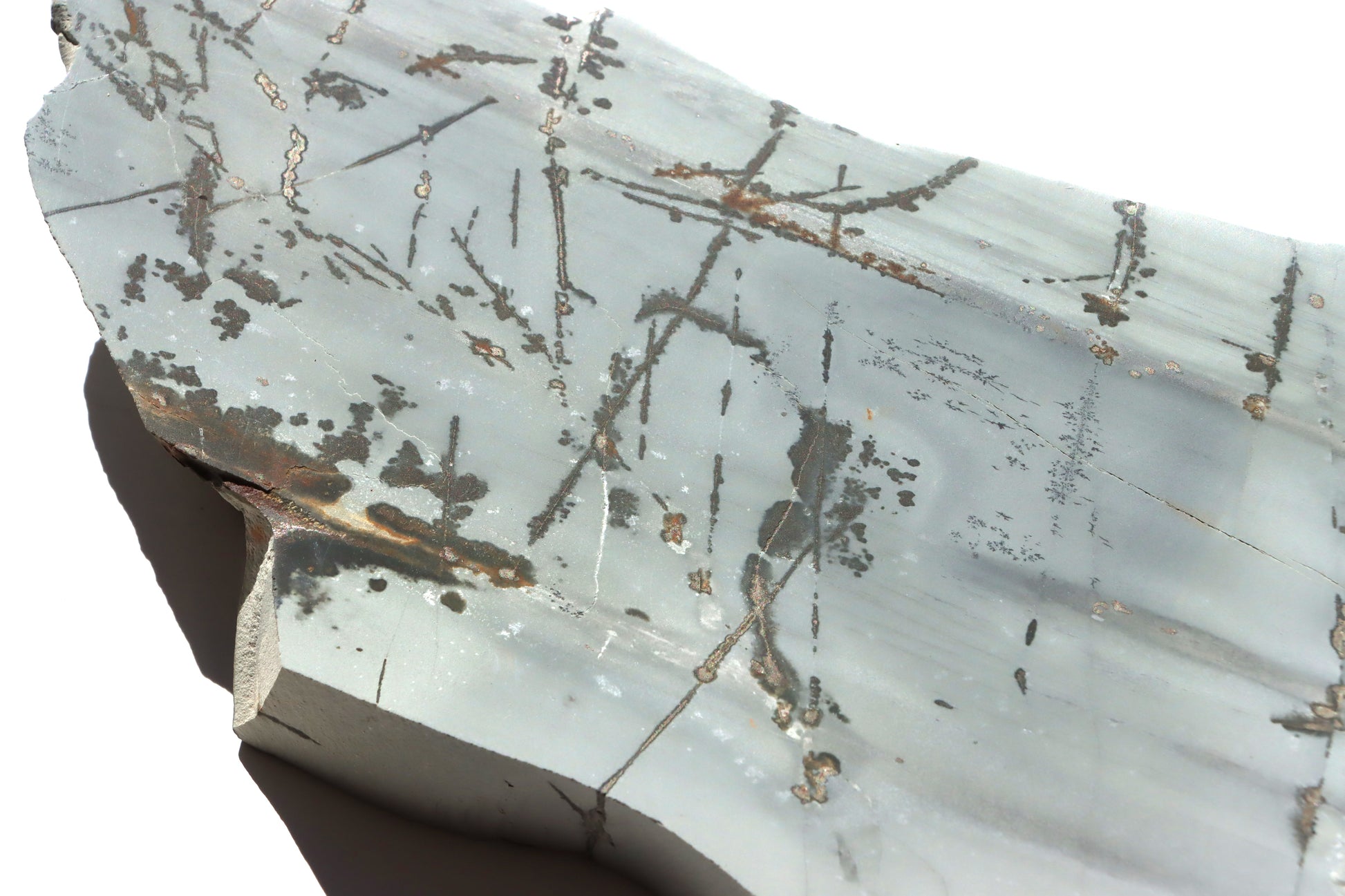 Porcelanit s pyritem a dendrity - Supreme Panthers