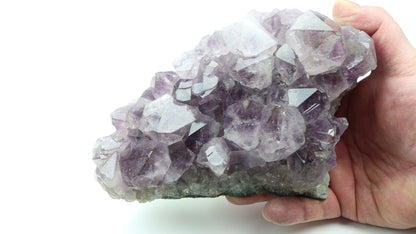 Sluníčka sagenitu v ametystové drúze