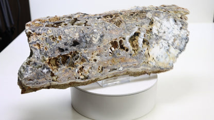 Opal-chalcedon krusta leštěná
