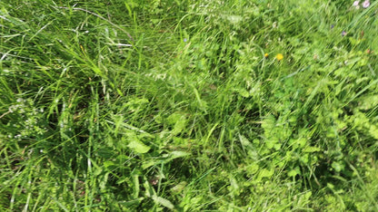 Achát krajkový s křišťálem leštěný