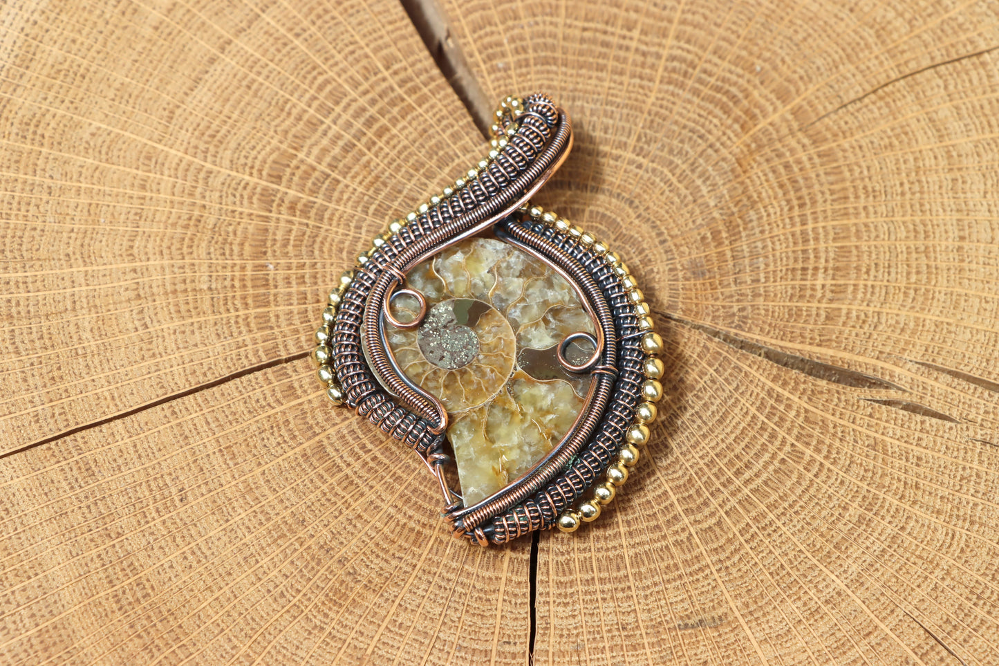 Přívěšek "Ammonit – Otisk věčnosti" - Supreme Panthers