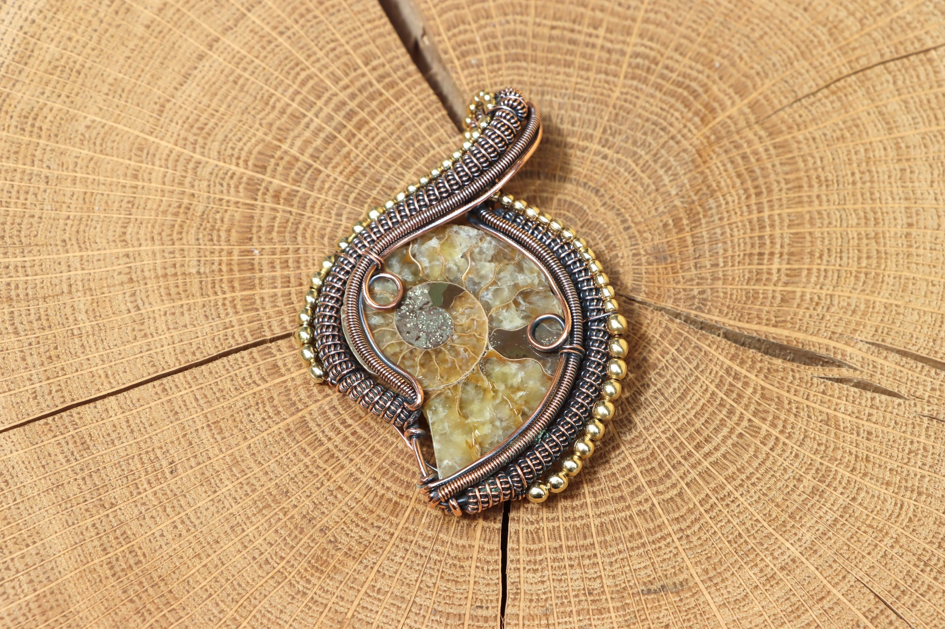 Přívěšek "Ammonit – Otisk věčnosti" - Supreme Panthers