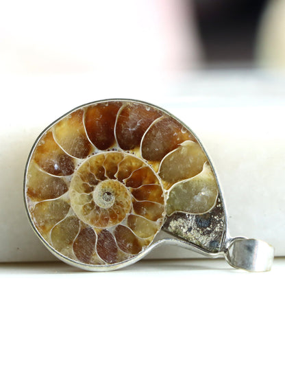 Přívěšek amonit - Supreme Panthers