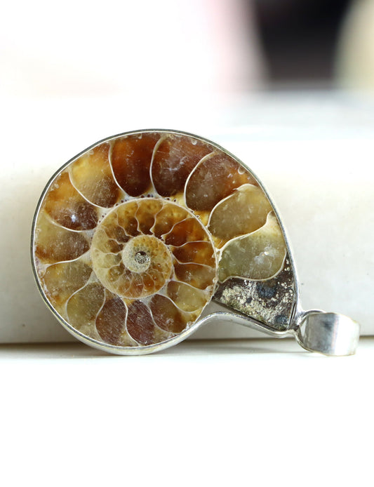 Přívěšek amonit - Supreme Panthers