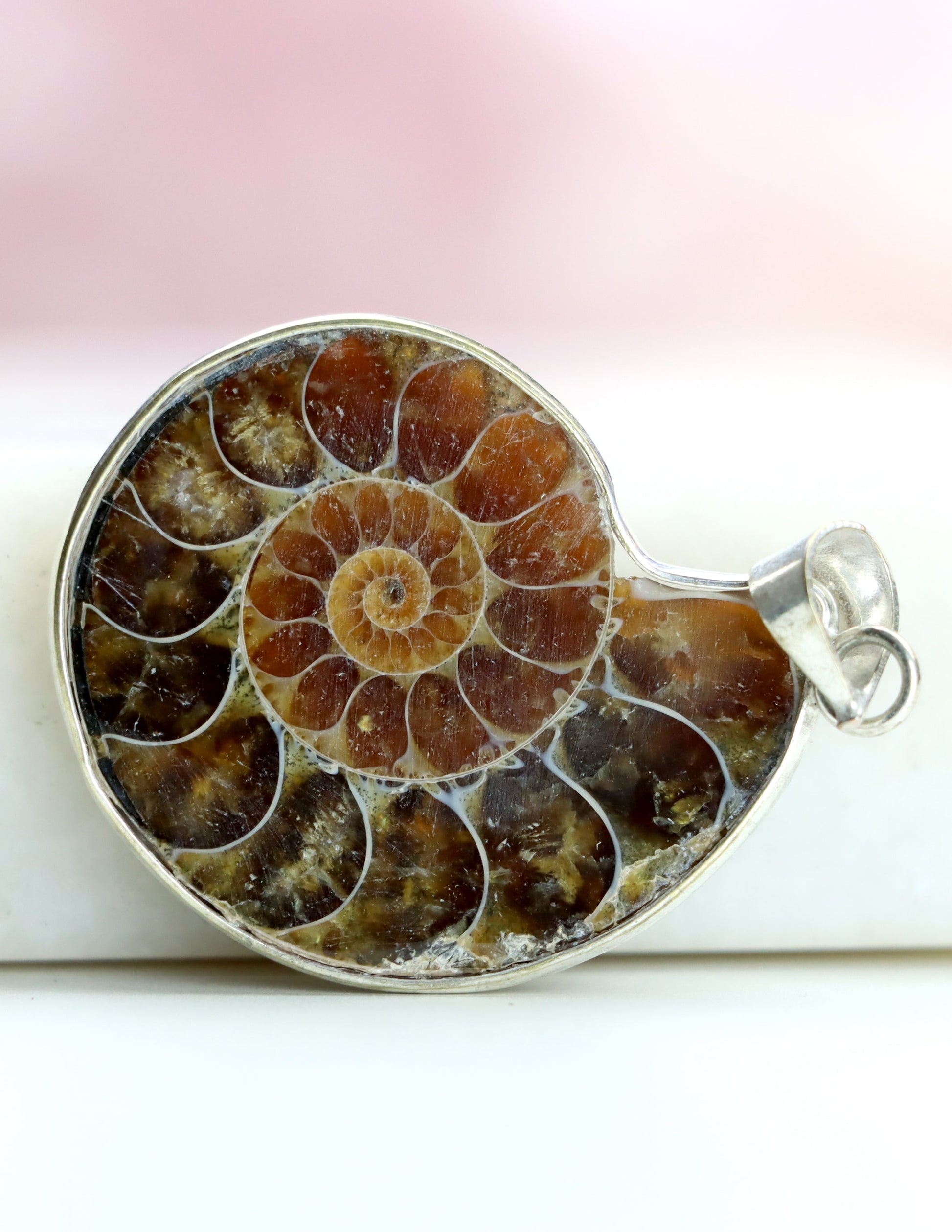 Přívěšek amonit - Supreme Panthers