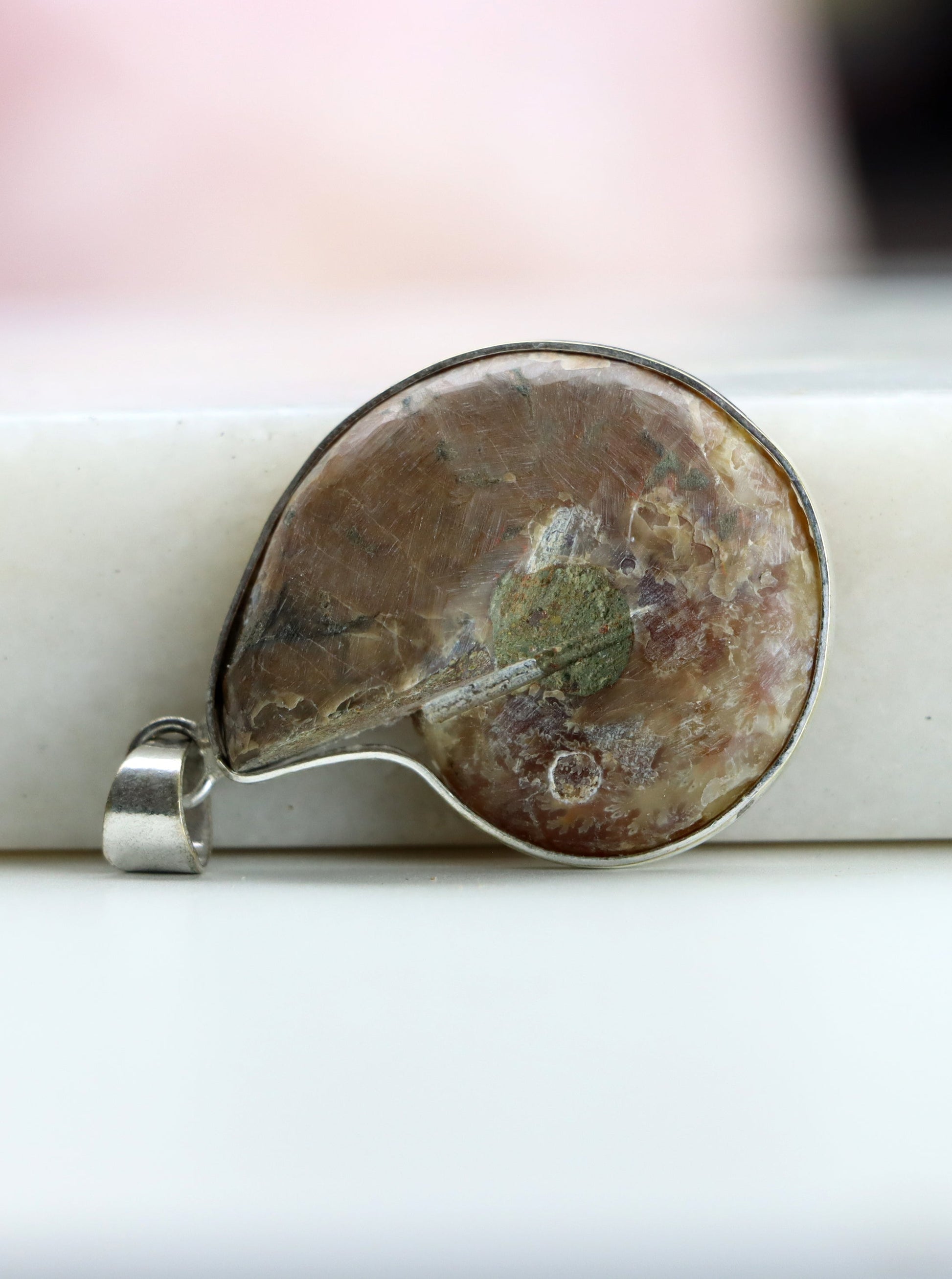 Přívěšek amonit - Supreme Panthers