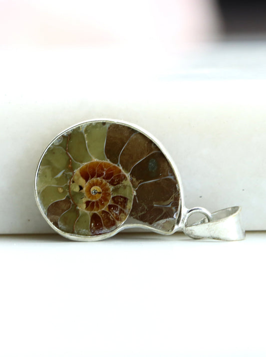 Přívěšek amonit - Supreme Panthers