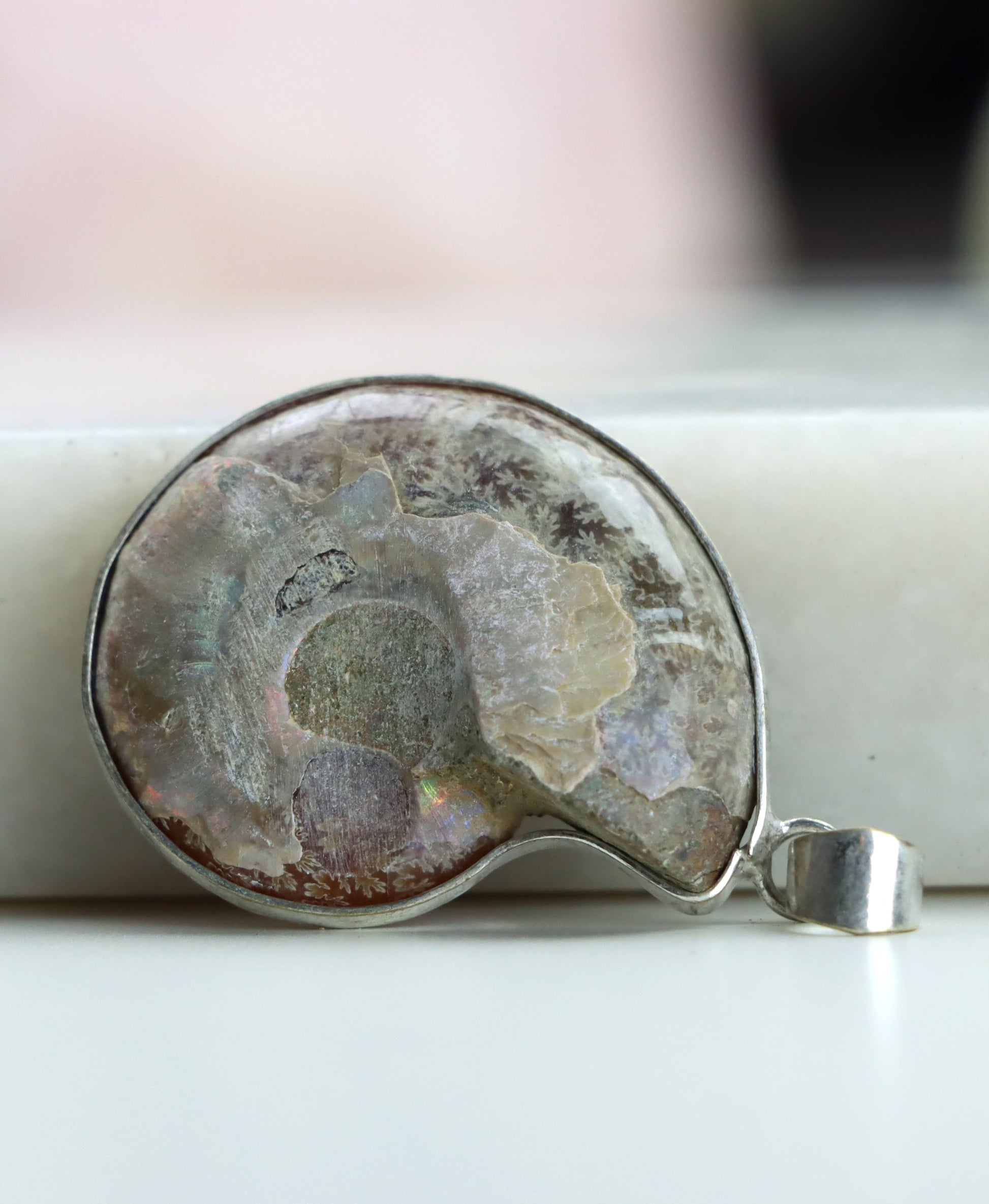 Přívěšek amonit - Supreme Panthers