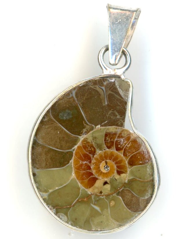 Přívěšek amonit - Supreme Panthers