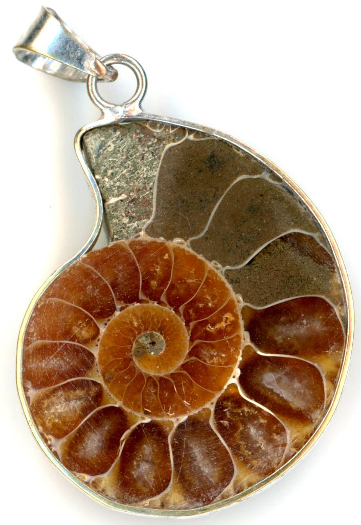 Přívěšek amonit - Supreme Panthers