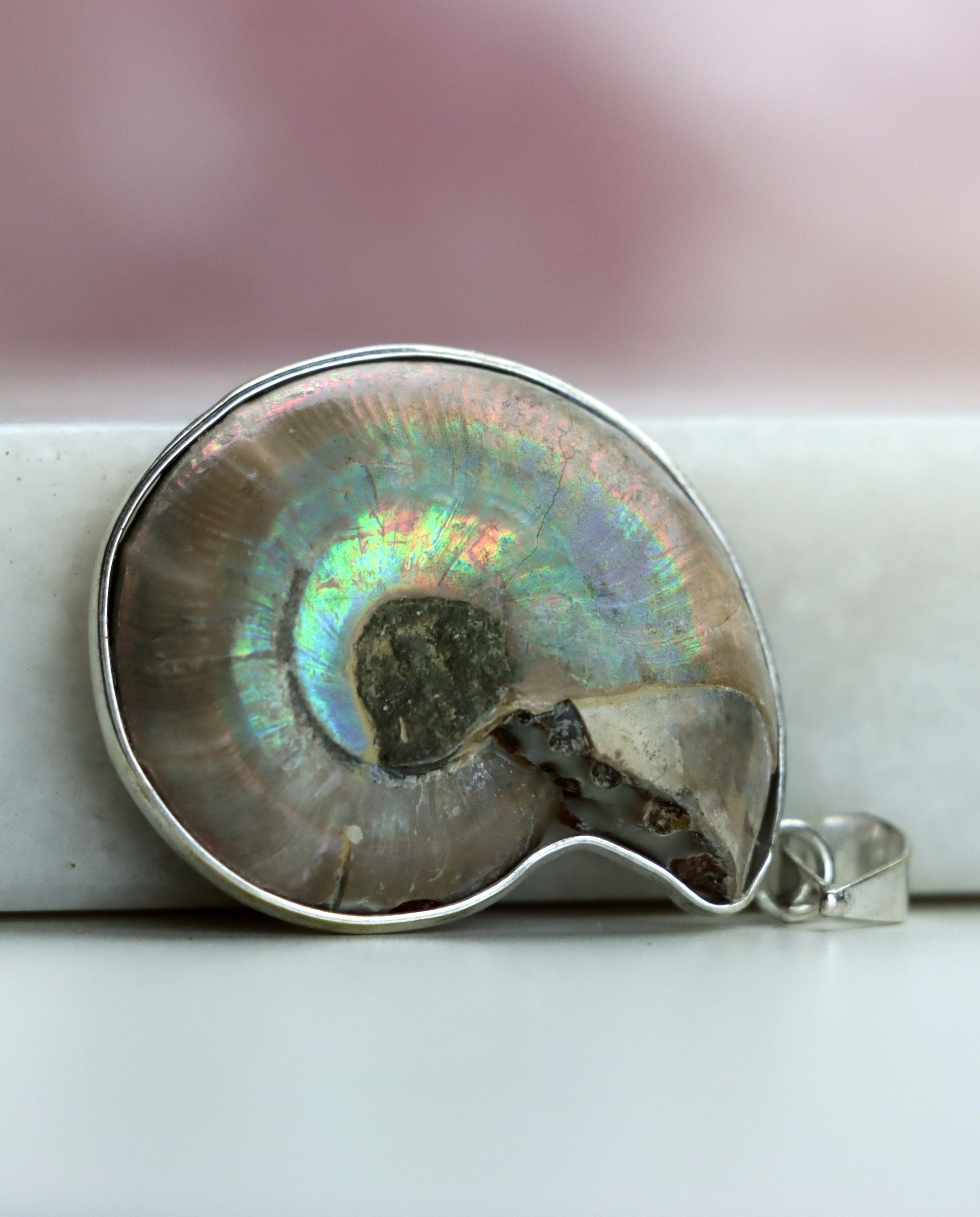 Přívěšek amonit - Supreme Panthers