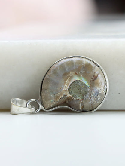 Přívěšek amonit - Supreme Panthers