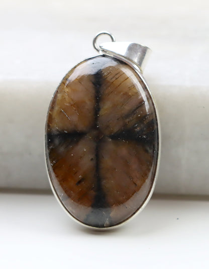 Přívěšek andalusit var. chiastolit - Supreme Panthers