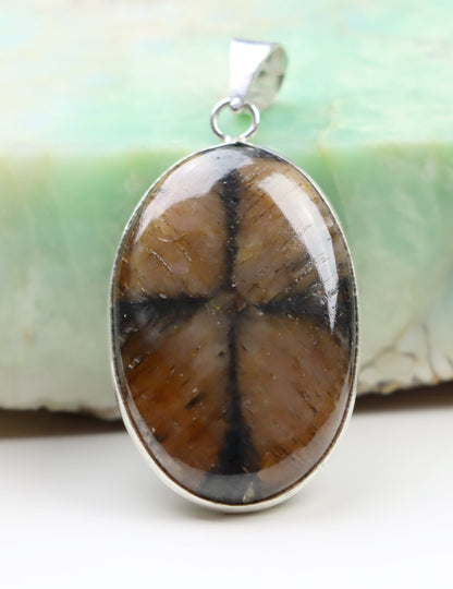 Přívěšek andalusit var. chiastolit - Supreme Panthers