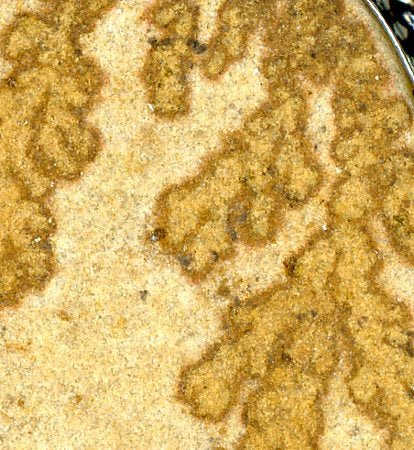 Přívěšek dendrity psilomelanu - Supreme Panthers