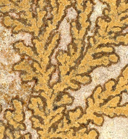 Přívěšek dendrity psilomelanu - Supreme Panthers