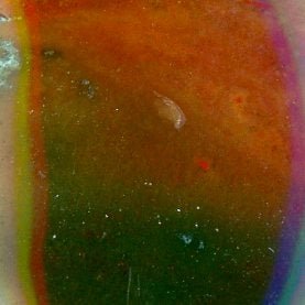 Přívěšek heliotrop - Supreme Panthers