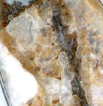 Přívěšek jaspis brekcie - Supreme Panthers