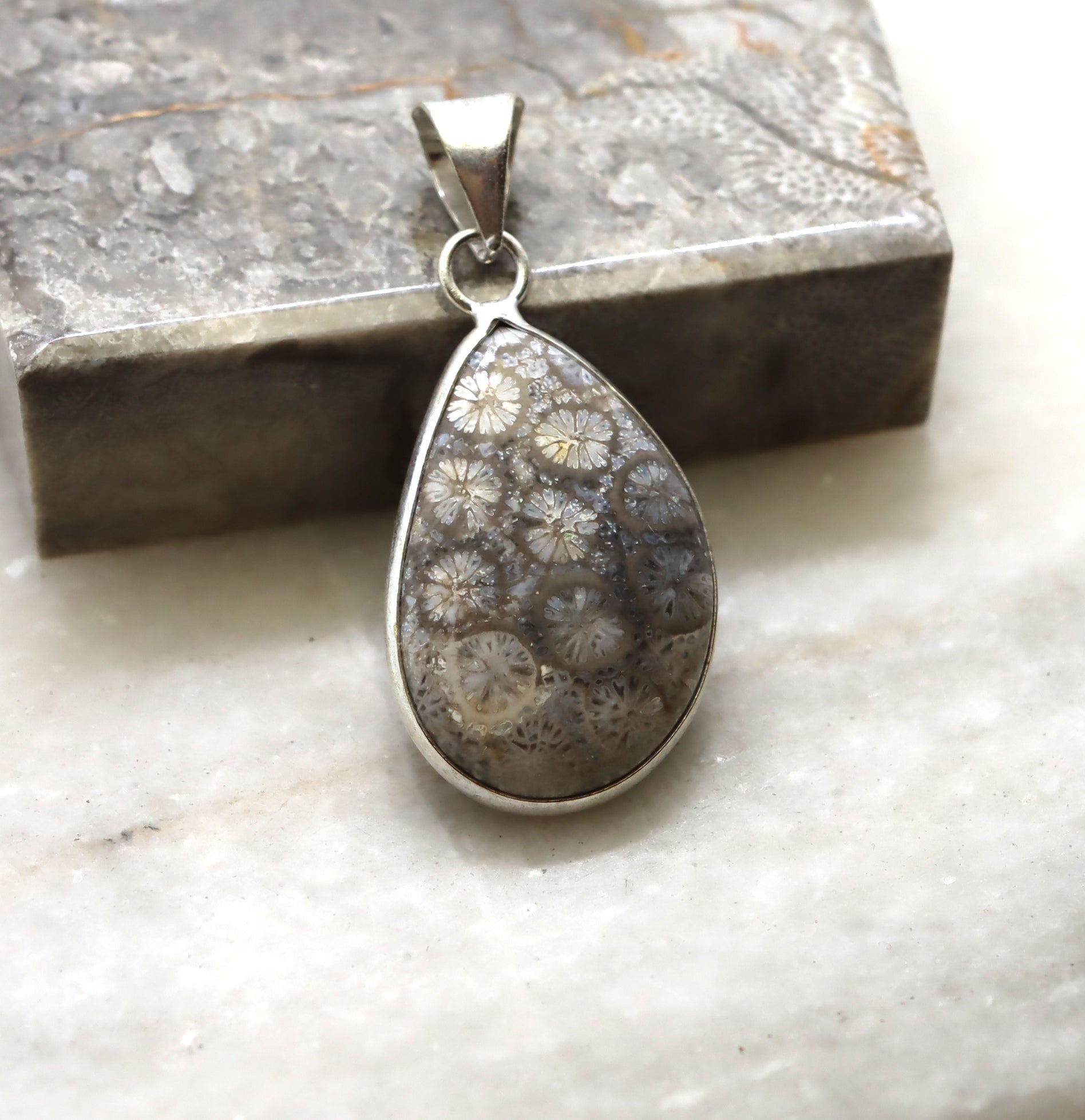 Přívěšek korál - Supreme Panthers