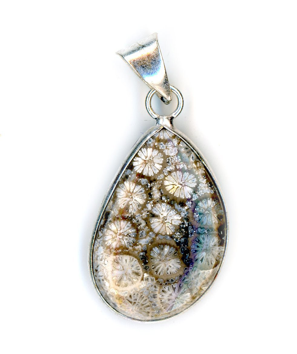 Přívěšek korál - Supreme Panthers