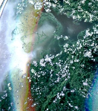 Přívěšek mechový achát - Supreme Panthers