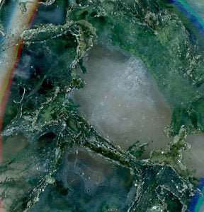 Přívěšek mechový achát - Supreme Panthers