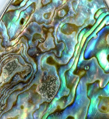 Přívěšek perleť Abalone - Supreme Panthers