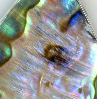 Přívěšek perleť Abalone - Supreme Panthers