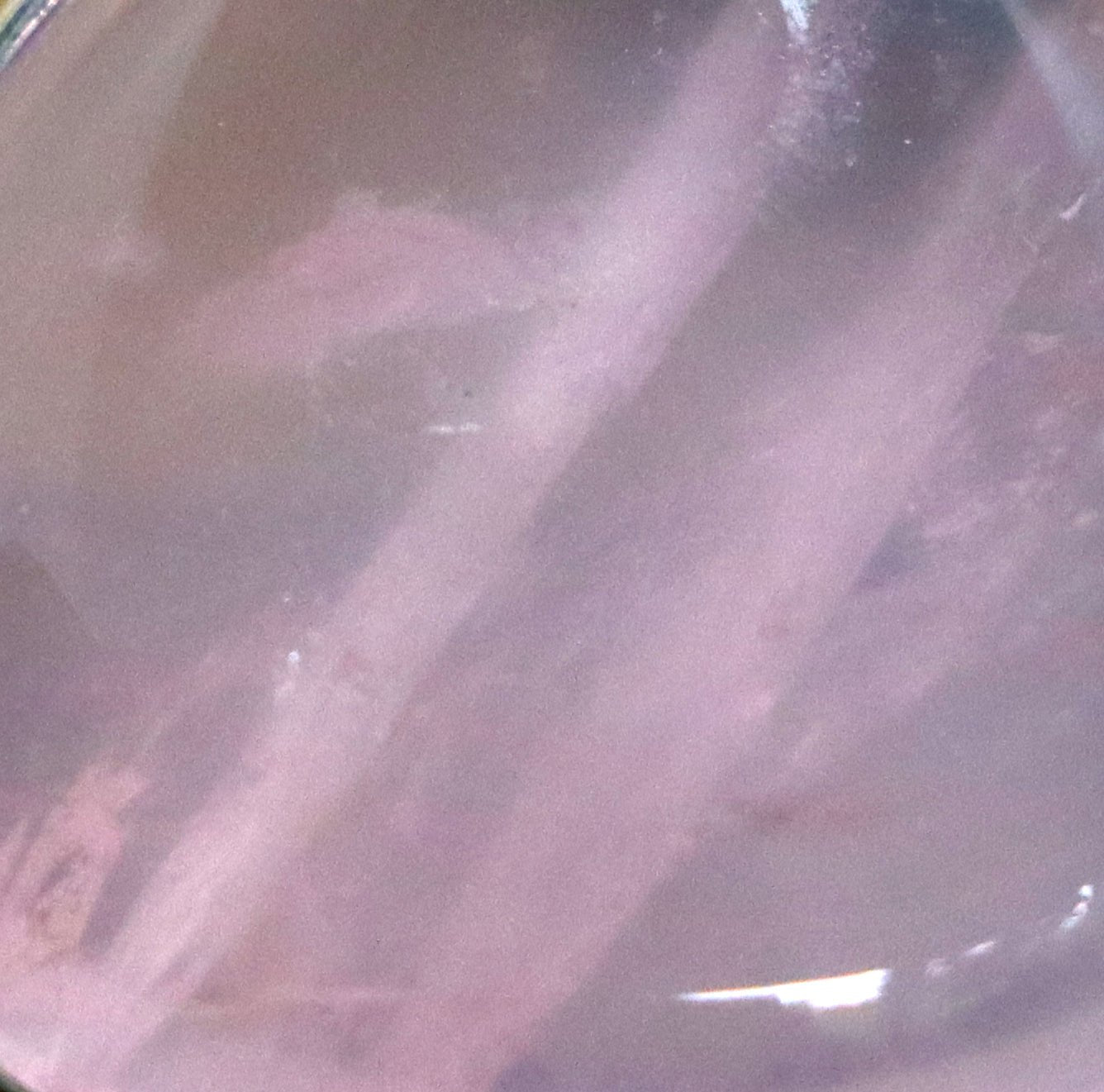 Přívěšek růženín - Supreme Panthers